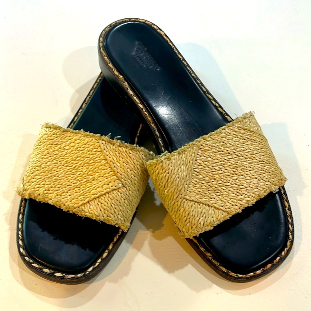 Creatures of the Wind Slides